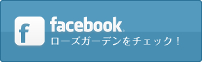 Facebookをチェック